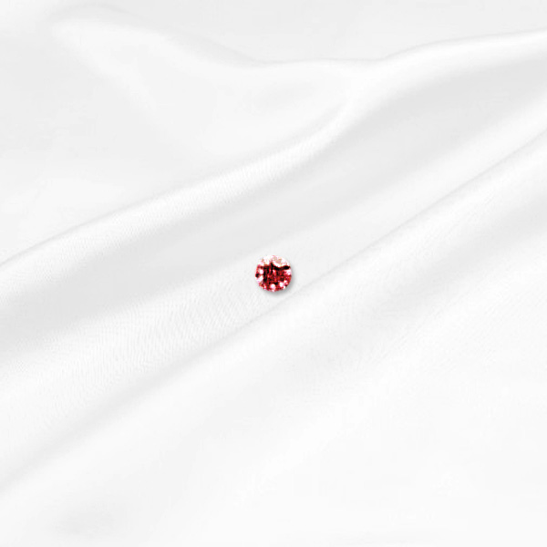1月 Garnet 真実・友愛